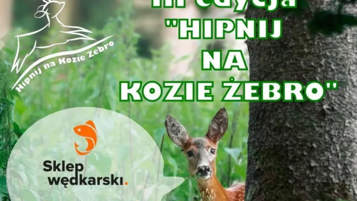 Byliśmy partnerem biegu III „Hipnij na Kozie Żebro”