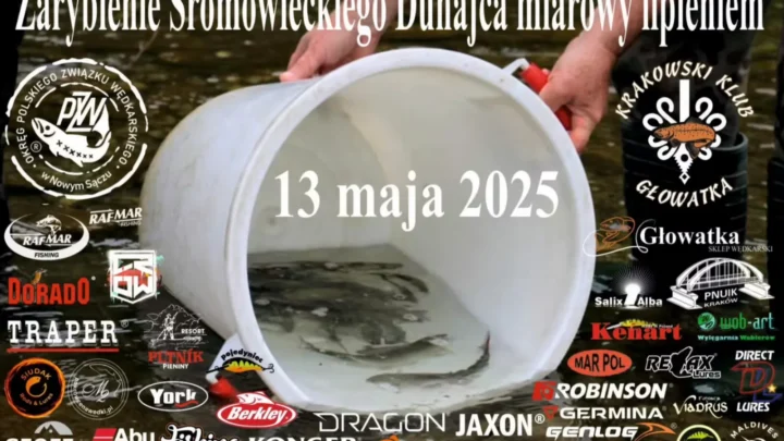 70 kg lipienia dla Dunajca: dołożyliśmy się do zarybienia